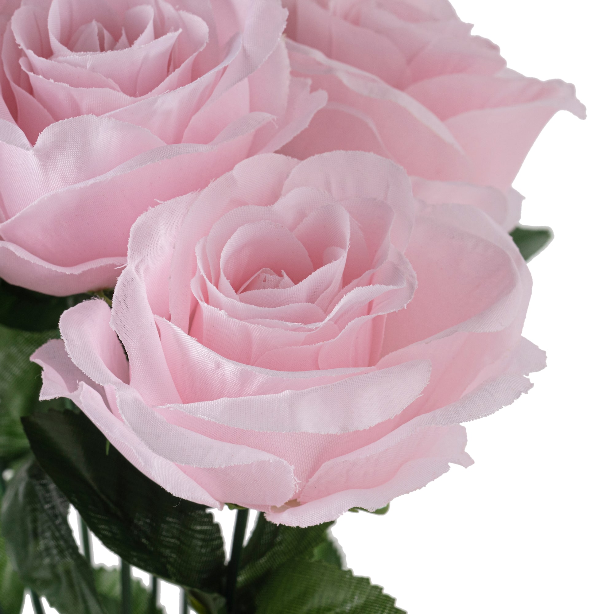 12 Pack: Pink Rose Bush by Ashland®